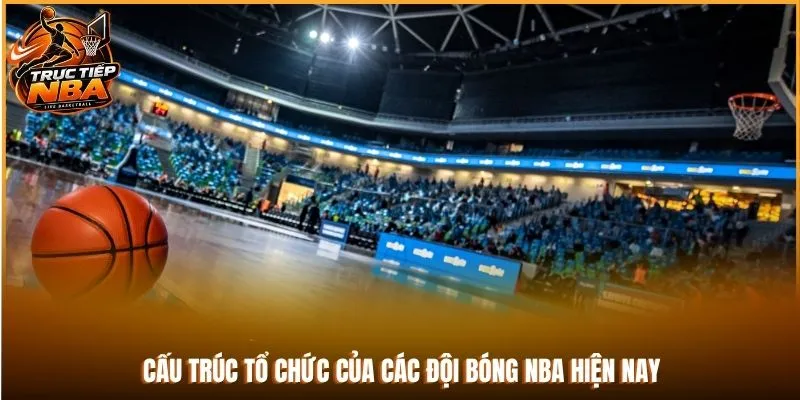Cấu trúc tổ chức của các đội bóng NBA hiện nay