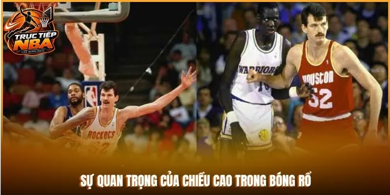 Sự quan trọng của chiều cao trong bóng rổ