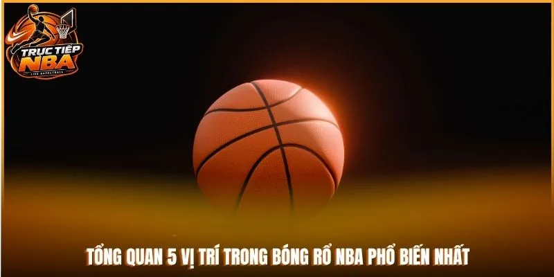 Tổng quan 5 vị trí trong bóng rổ NBA phổ biến nhất